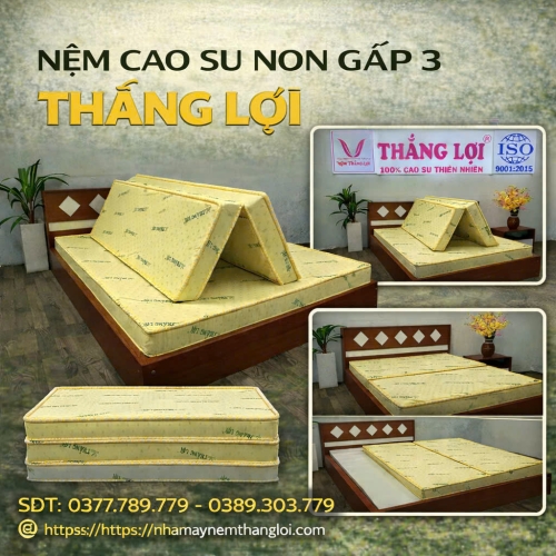 Nệm cao su non Thắng Lợi gấp 3
