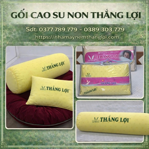 BỘ GỐI CAO SU NON THẮNG LỢI ( 2 NẰM + 1 ÔM )