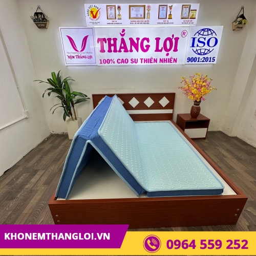 Nệm điều hòa Thắng Lợi Vitamin Cool gấp 3