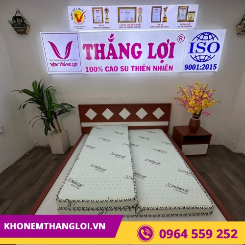 Nệm cao su hoạt tính Thắng Lợi Gấp 3