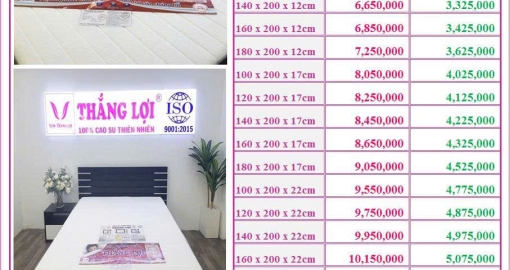 NỆM THẮNG LỢI GIẢM GIÁ 50% VỚI DÒNG NỆM CAO SU FOAM CAO CẤP THẮNG LỢI